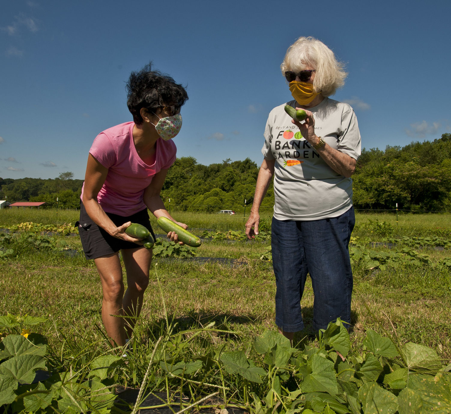 Food Bank garden